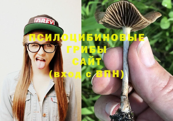 Альфа ПВП Беломорск