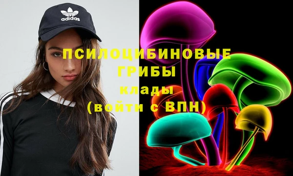 Альфа ПВП Беломорск