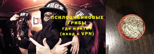 дурь Белокуриха